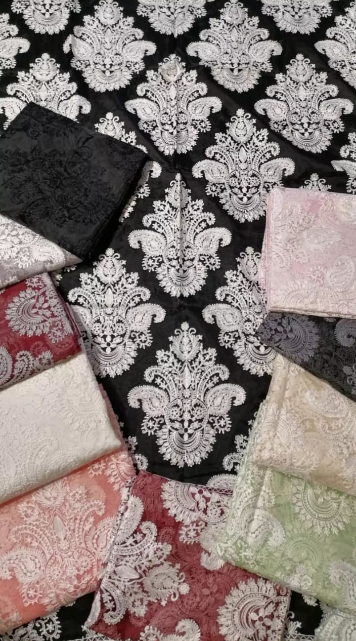 Organza Chikankari Dupata